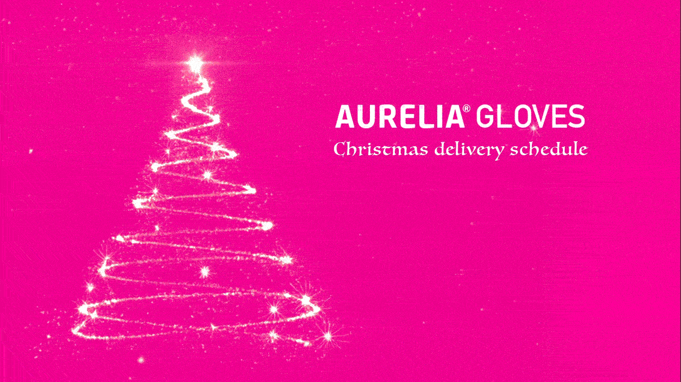 Christmas 2025 Delivery Schedule